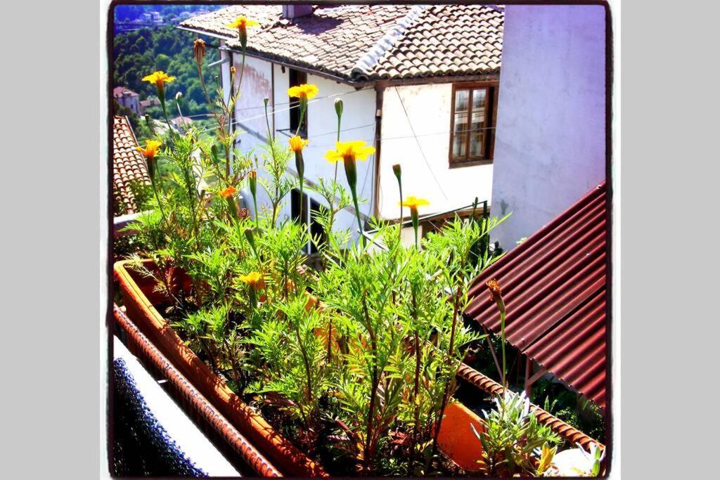 Authentic Guest Stay in the heart of Veliko Tarnovo Студио с изглед към Царевец Экстерьер фото